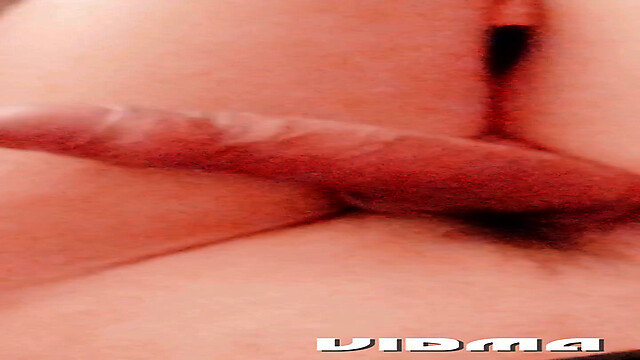 Laratransexualbarcel