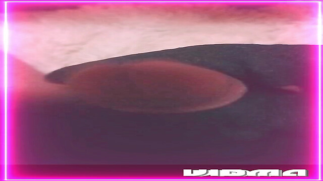 Laratransexualbarcel