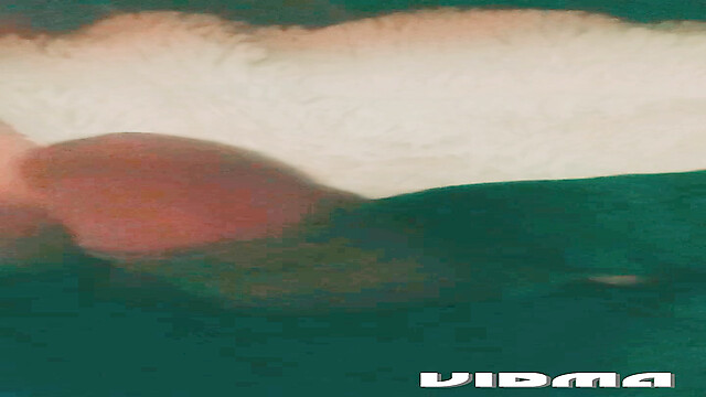 Laratransexualbarcel