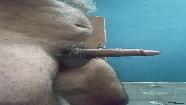 Penis16cmCircunferen