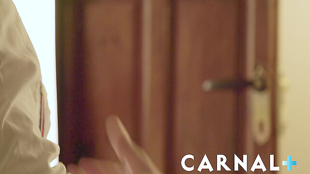 CarnalPlus