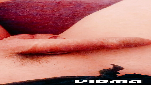 Laratransexualbarcel