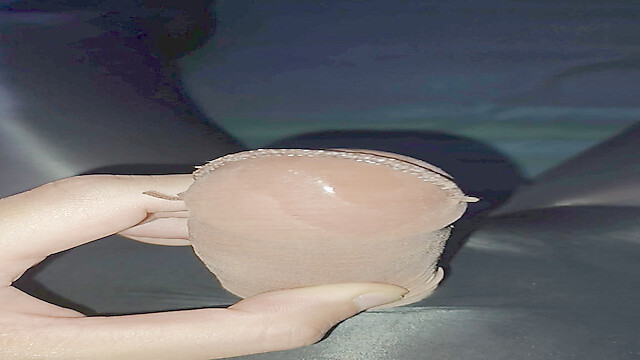 asianspandexsquirter