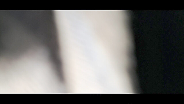 lepstar121