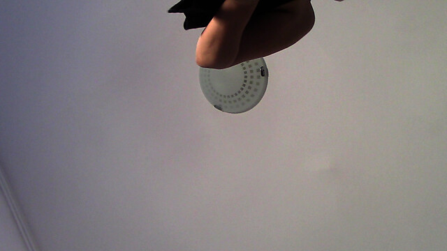 Amateur_MS