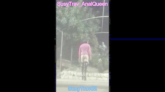 SusyTrav82