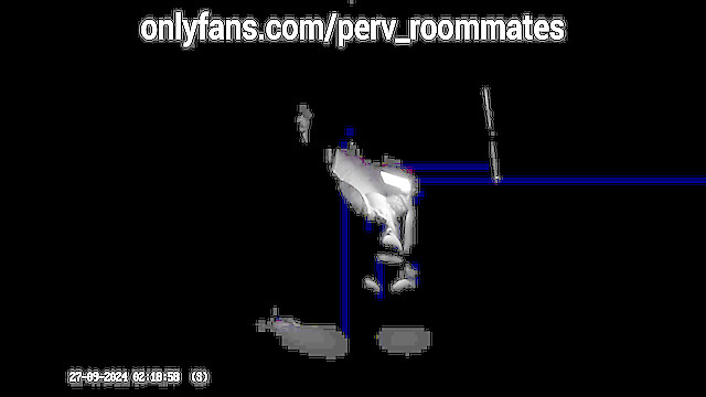 Perv_Roommates