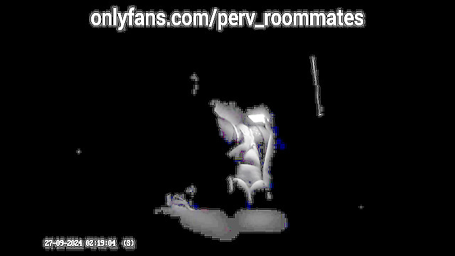 Perv_Roommates
