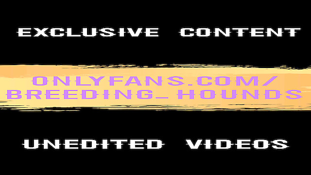 breeding_hounds