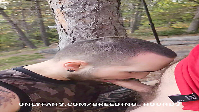 breeding_hounds