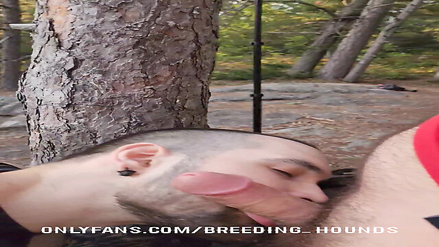 breeding_hounds