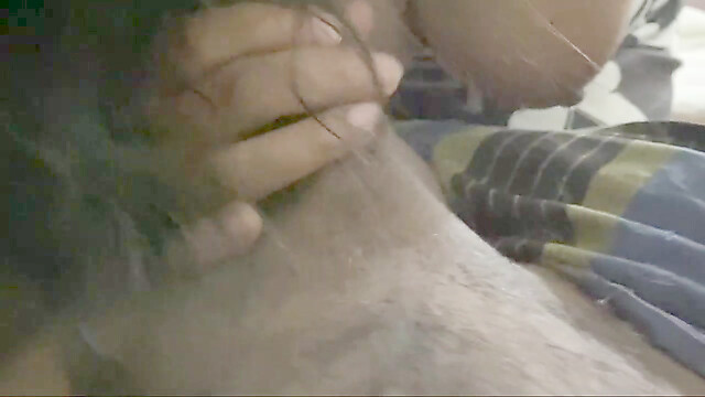 arabianX_baby