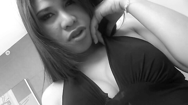 blackcat-productions