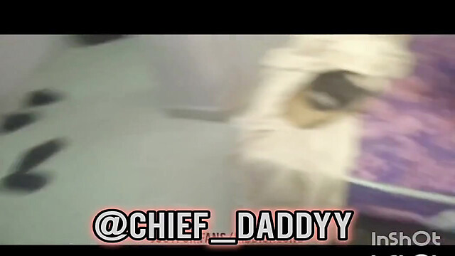 Chief_daddyy