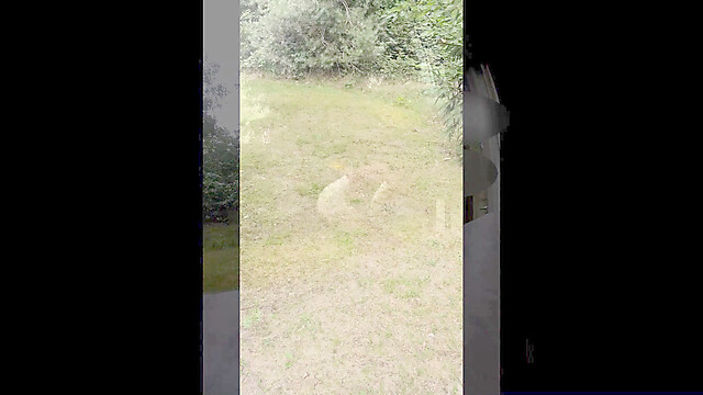 Ultimatedutchamateur