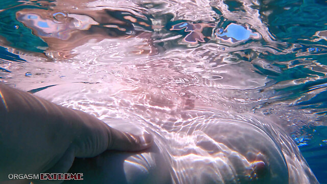 orgasmextreme