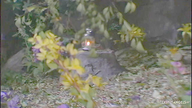 eroticfemaledominati