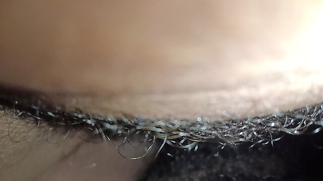 Shubo56