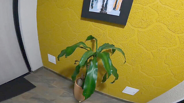 Jhodez1