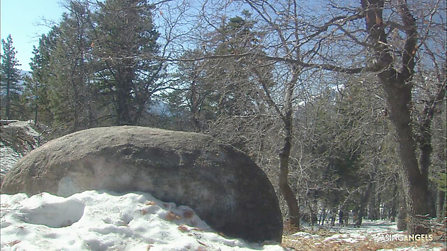 eroticfemaledominati