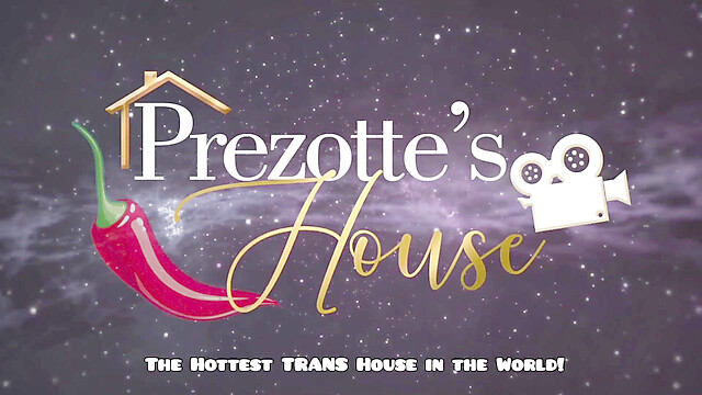 Prezottes_House