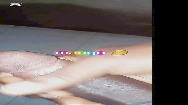 Mango411
