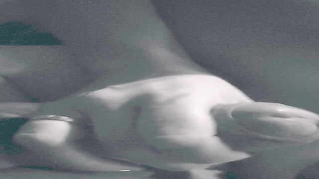 Tadasxxx