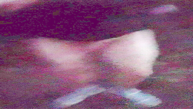 High-levelAssociate9