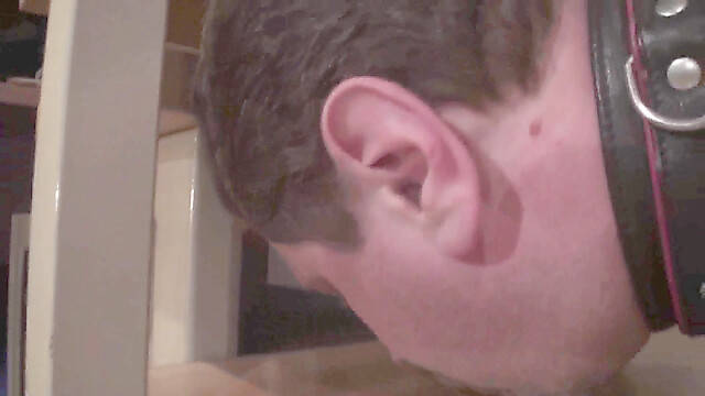 MrBizarrboy