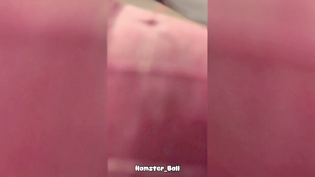 Hamster_Ball