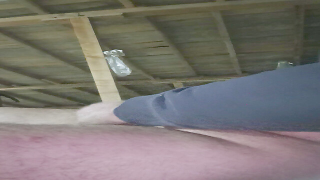 masculine_bear_daddy