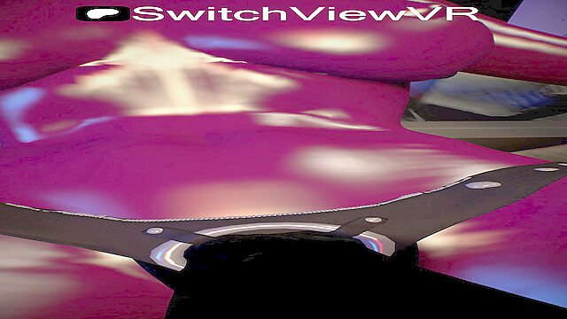 SwitchViewVR
