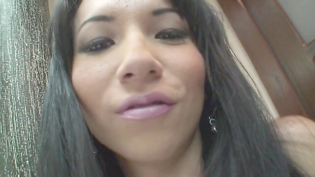 blackcat-productions