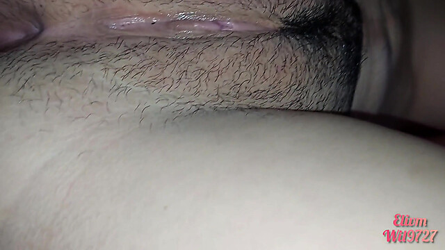 Wil9727