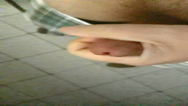 wernerlisaamityville