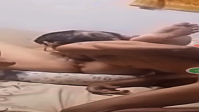 ador66