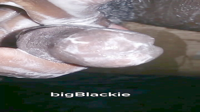 bigBlackie699