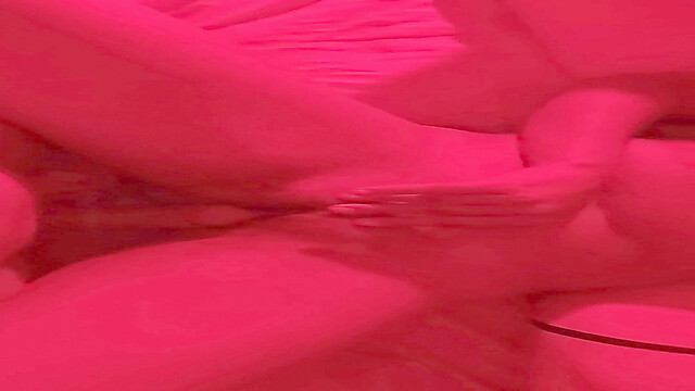 Ultimopolvo2