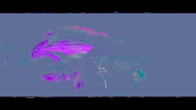 soihentai
