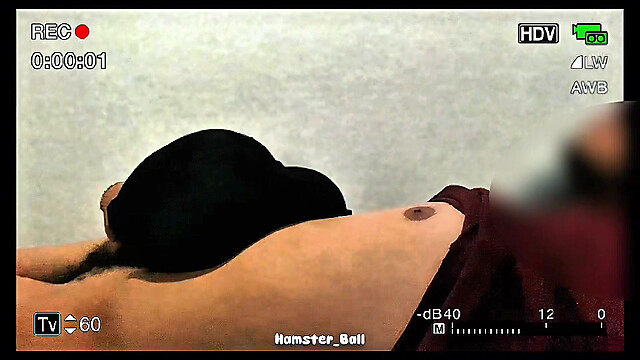 Hamster_Ball