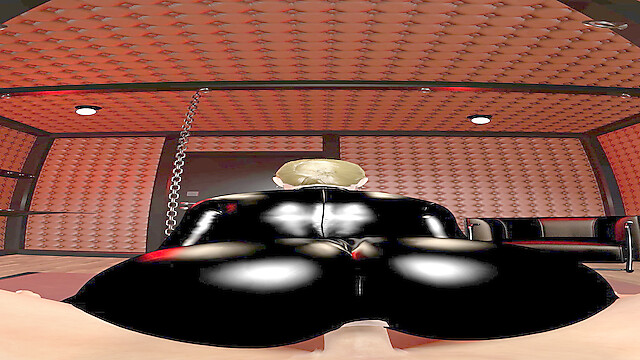 SwitchViewVR