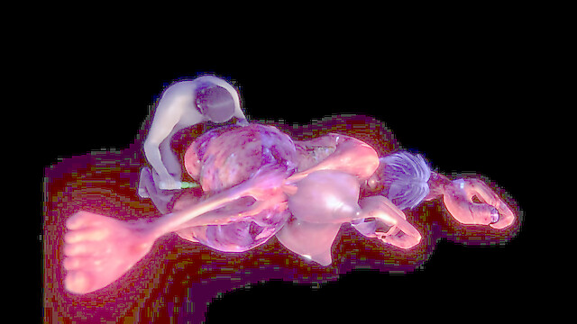 GameslooperSex