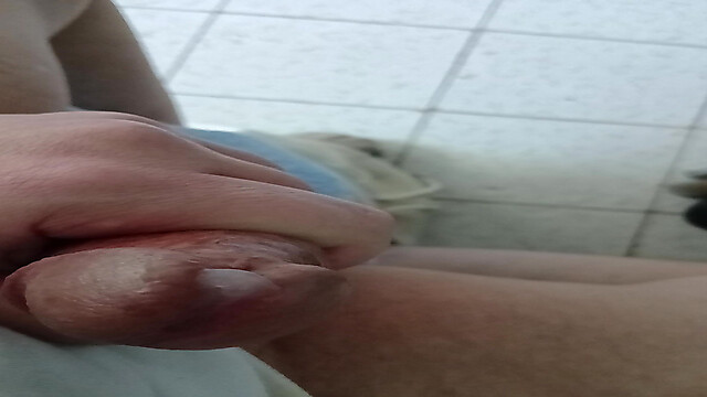 wernerlisaamityville