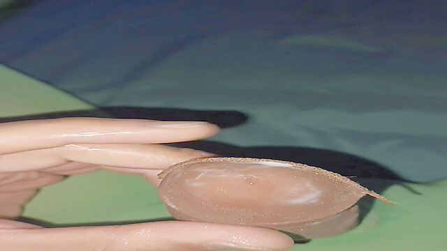 asianspandexsquirter