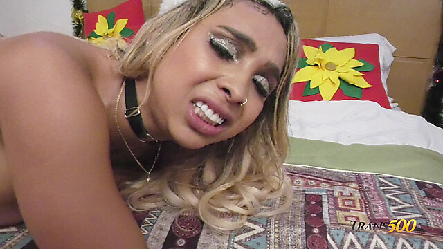 trans500
