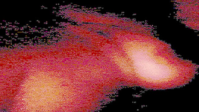 VerifiableTulip877