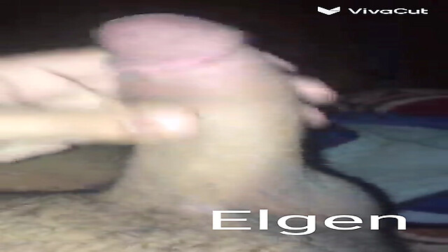 Elgen236