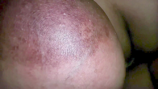 ariamia