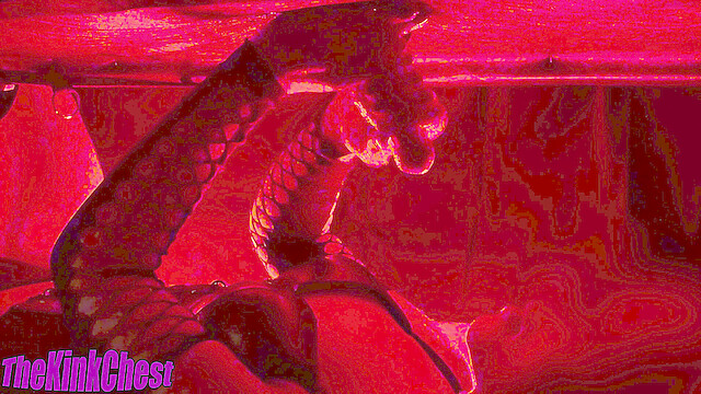 TheKinkChest