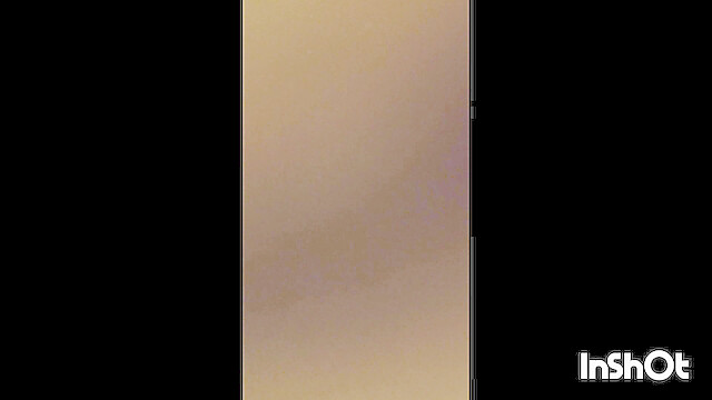 Hardcock81